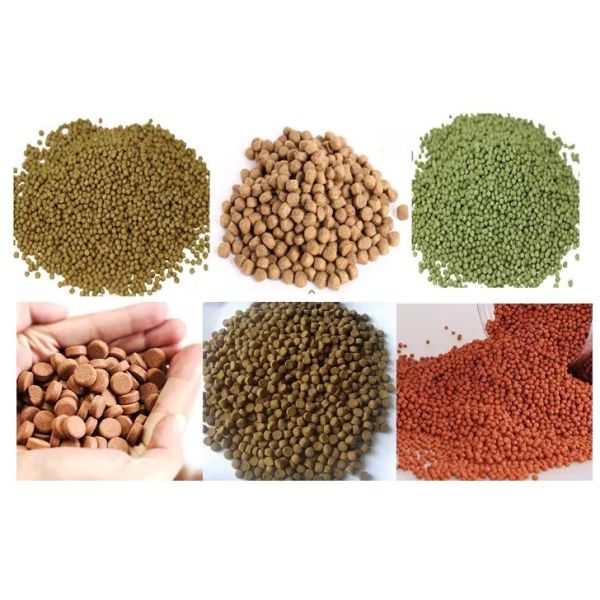 Automatic Fish Feed Processing Machinery With SGS Certification