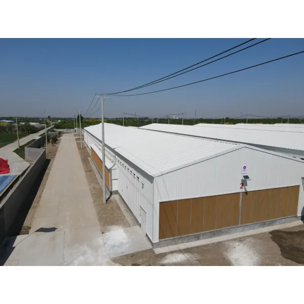 Hot Deep Galvanized Manufacture Metal Steel Broiler Layer Poultry House with Automatic Brooding Equipment