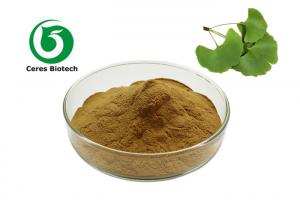 Quality 5ppm Ginkgo Biloba Leaf Extract Powder 24% Flavones 6% lactones wholesale