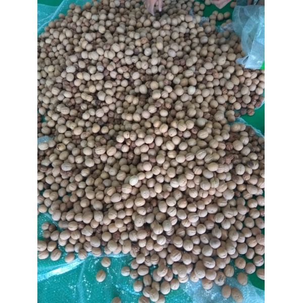 Walnut Ccd Belt Color Sorter 99.99% Sorting Accuracy