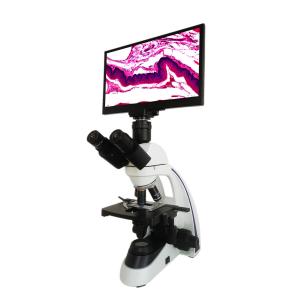 China Compound LCD Microscope For Living Blood Cell And Dead Blood Cell Analysis on sale