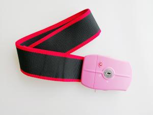 Quality Suitcase Belt Lock , TSA Lockable Luggage Strap With Combination Lock wholesale