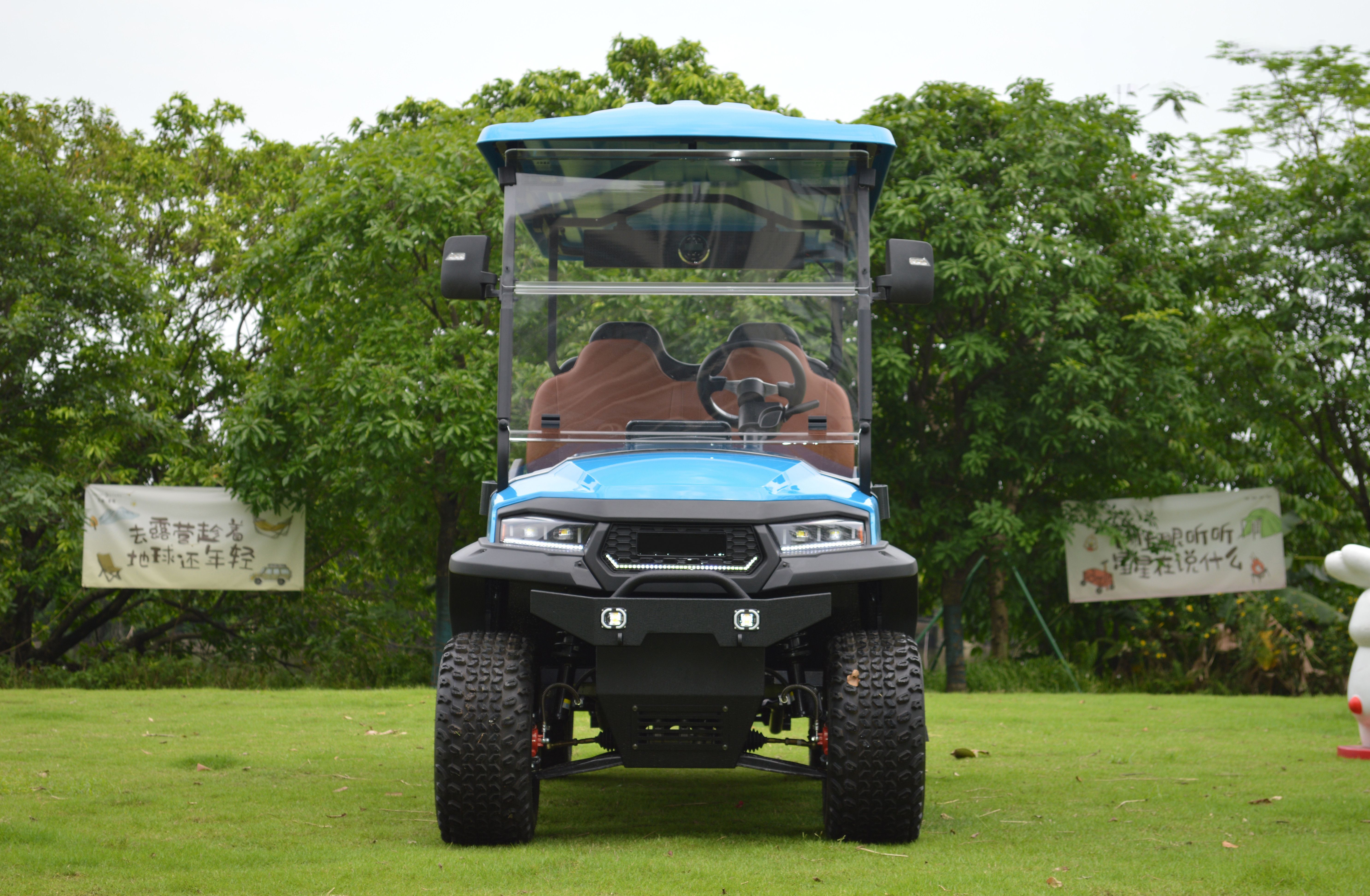 Minimum turning radius 5.25m Lifted 2 4 6 Seat Electric Lithium Battery Golf Cart Hunting Golf Buggy car with DOT EEC