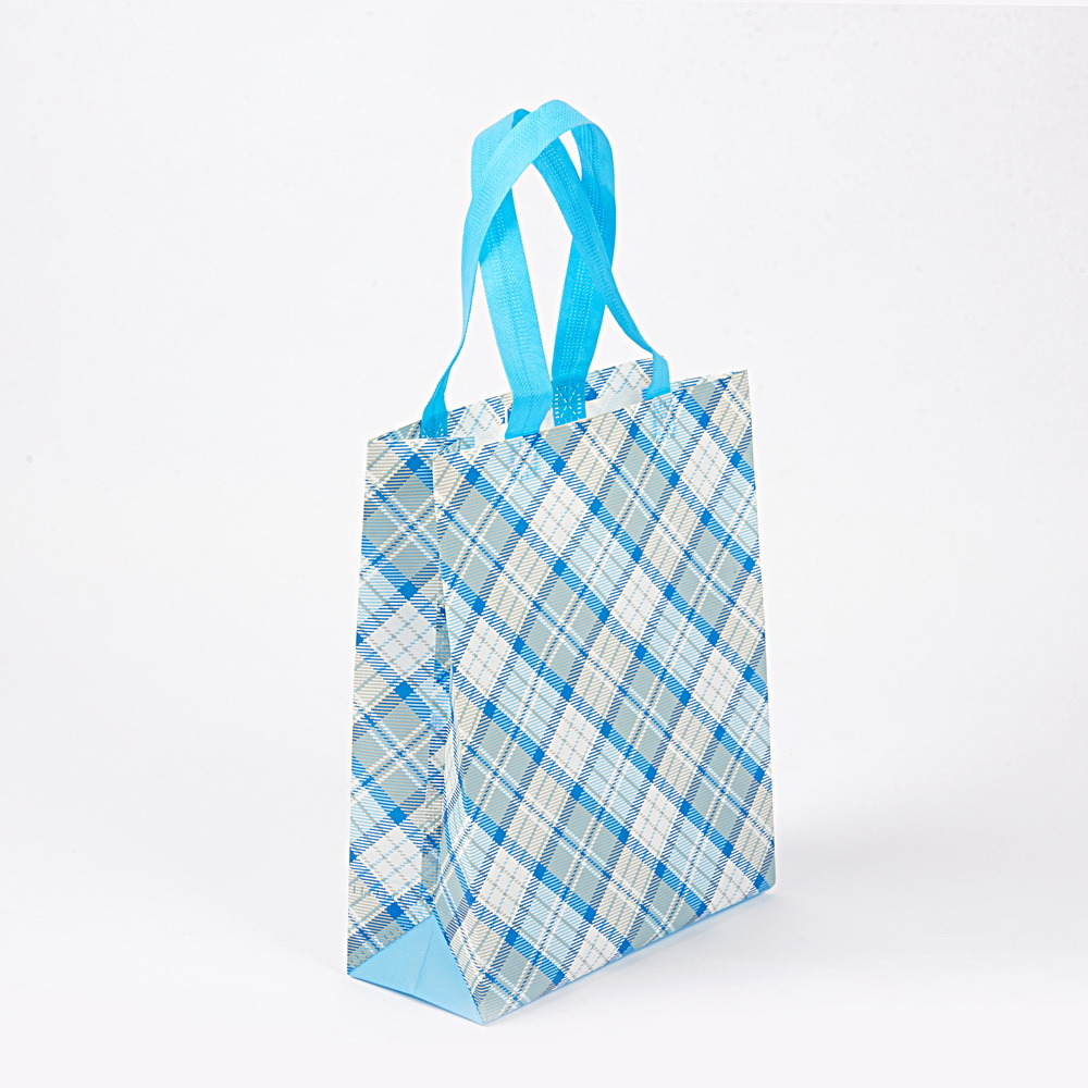 Gift Promotional Custom Non Woven Eco Friendly Reusable Logo Printed Shopping Bag