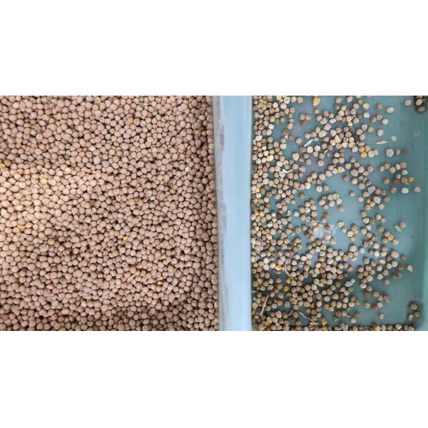 Stainless Steel Low Consumption Black Kidney Beans Color Sorter Machine Farmland Plant