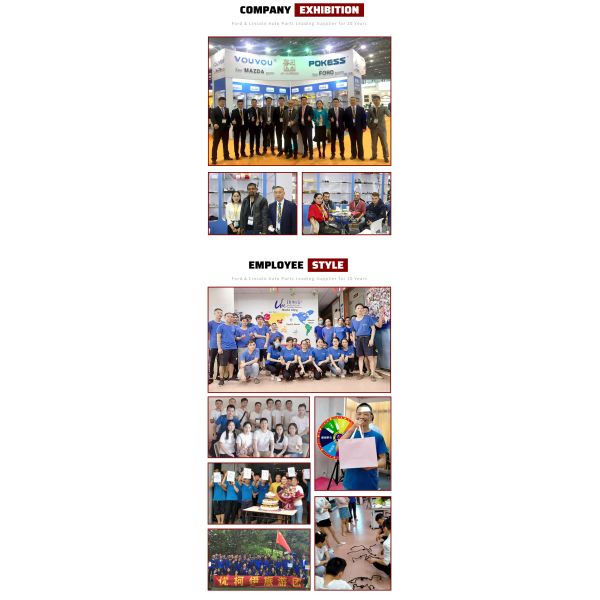 POKESS Automobile Cooling System F2G38A080AE F2GZ8A080A F2G38A080AD Expansion Tank for Ford Edge 2.0/2.7