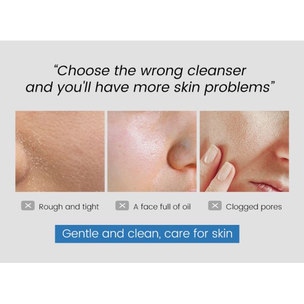 Wholesale Salicylic Acid Soothing Moisturizing Cleanser Refreshing Non Greasy Moisturizing Face Cleanser