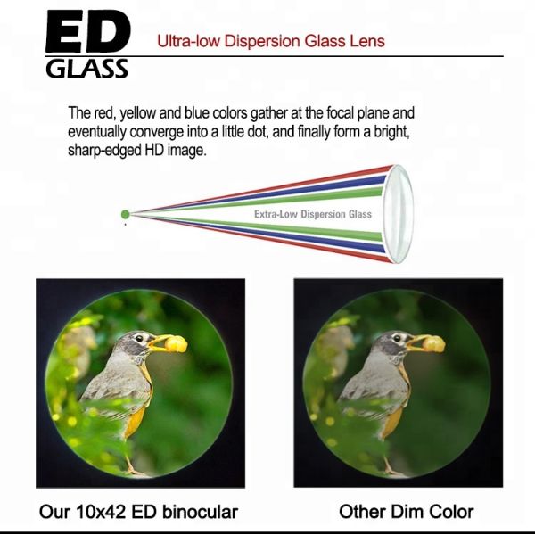 ED Lens Nitrogen Filled Binoculars 8x42 For Outdoor Exploration