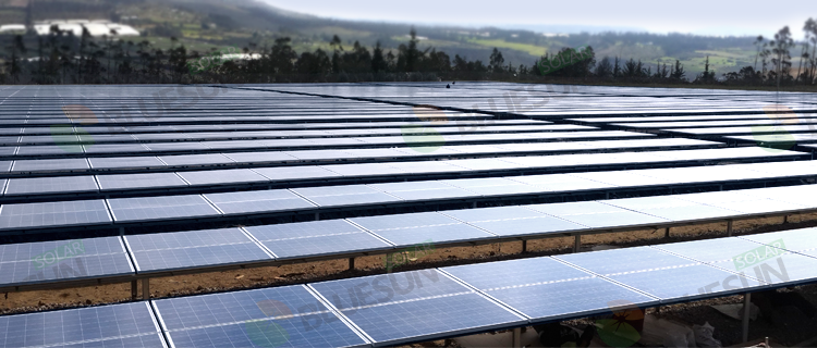 Bluesun Top Sale Solar Panel 230w 240w 250w 260w 270w 280w 400w Solar Power Panel 450w Solar Panel Price