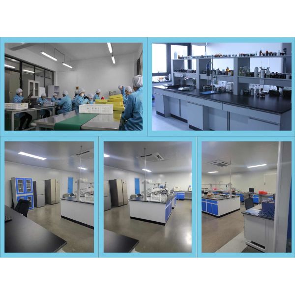 Natural Strong Food Fragrance Oil Coffee For Food And Beverage