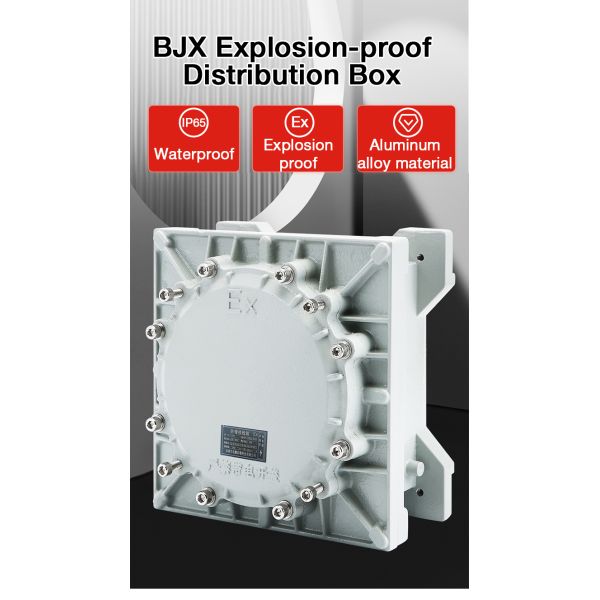 ATEX Explosion Proof Distribution Box Explosion-proof Frequency Converter IIC ATEX Petroleum Industrial Converter Fire Protection Enclosures
