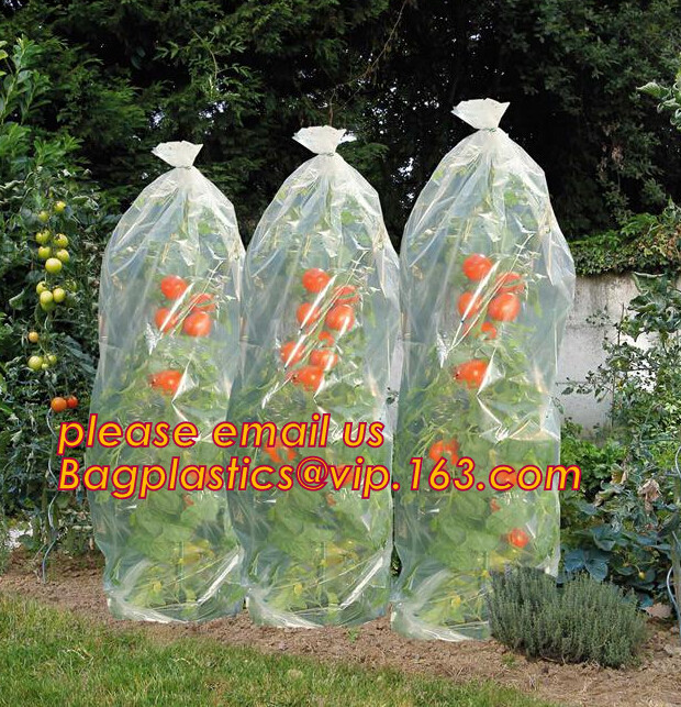 Perforated Black Agricultural Mulch Film for Weed Control Membrane,Pre-stretch Perforated UV Resistant Agriculture Film