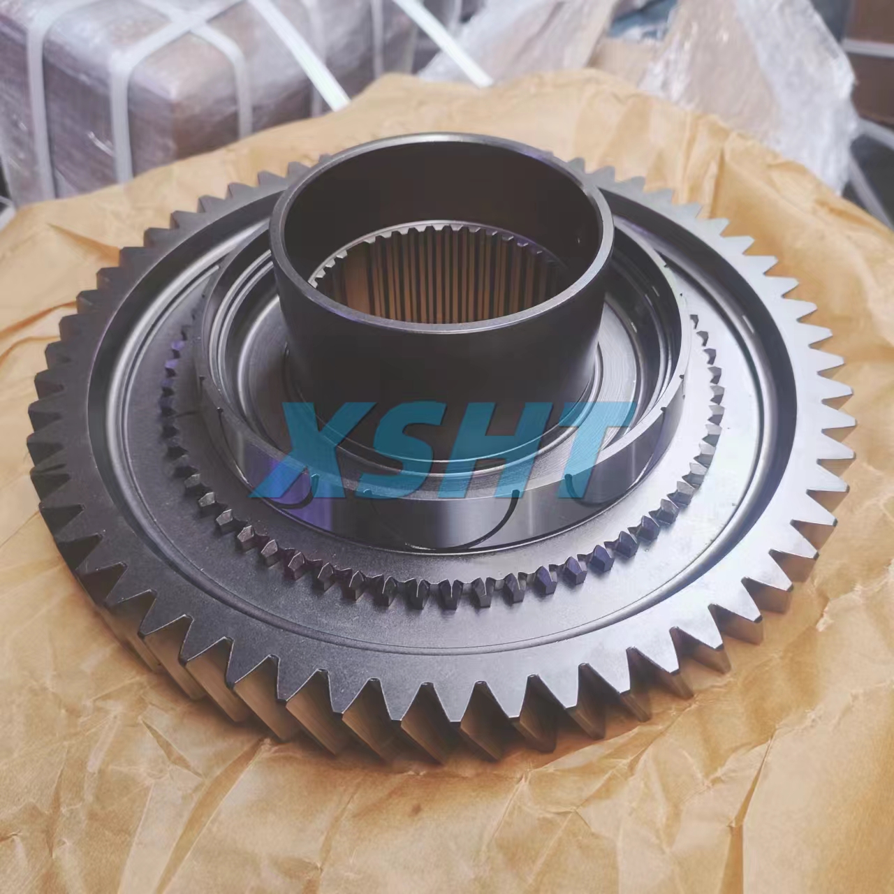 trucks European Heavy Duty Truck Automatic Transmission Parts Gear Reduction Gear 1316233014 1316233016