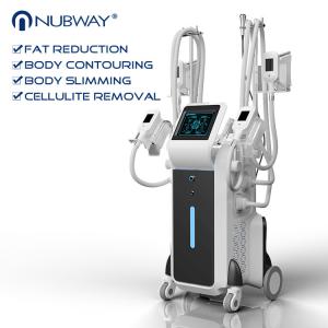 Quality 2018 newest good result top selling weight loss Cryolipolysis slimming machine with 4 heads wholesale