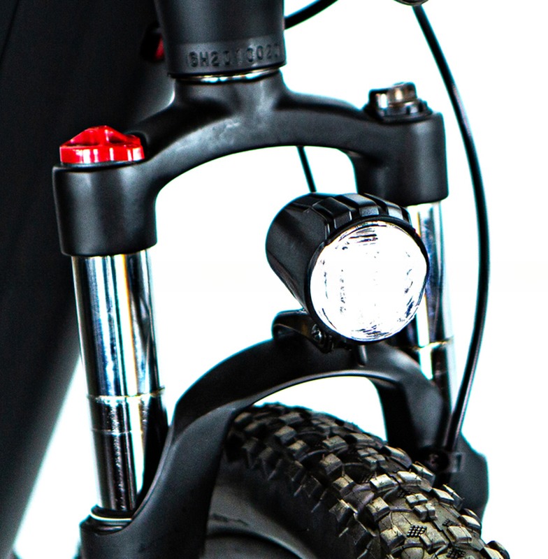 29" Bafang Middle Motor Electric Bicycle with 48V1000W Power and 17.5AH OEM Lithium Battery
