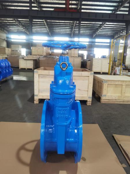 Cheap OEM 10" Soft Seat Gate Valve Ductile Iron Valves DN250 for sale