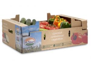 Recycled Vegetables Packing Boxes Flute Corrugated Paper Matt Lamination