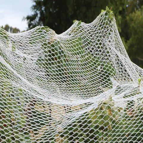 With Knot HDPE Anti Bird Netting Bird Catching For Fruit Trees