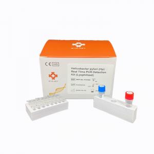 China High Accuracy Molecular Diagnosis  Helicobacter Pylori RT  QPCR Kit Lyophilized on sale