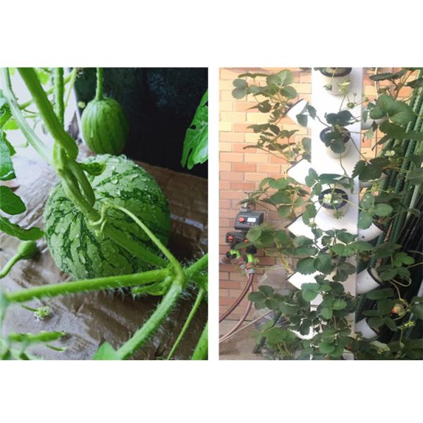 Intelligent Hydroponics Vertical Garden Planting Herbal Plants NFT Growing System