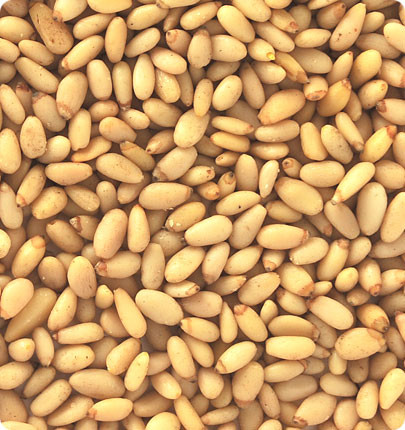 Professional Nut Colour Sorting Machine High Accuracy Multitasking Function