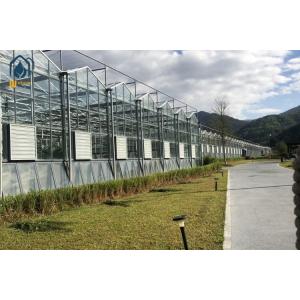 Quality Agricultural Glass Greenhouse For Year Round Vegetable Flowers Harvests wholesale