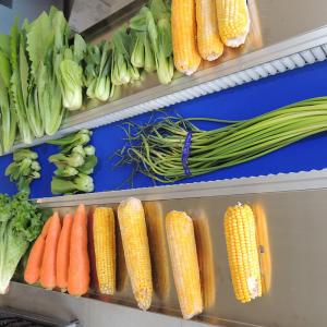 Customized Stand Up Pouch Packaging Machine Electric Pillow Style Bagging